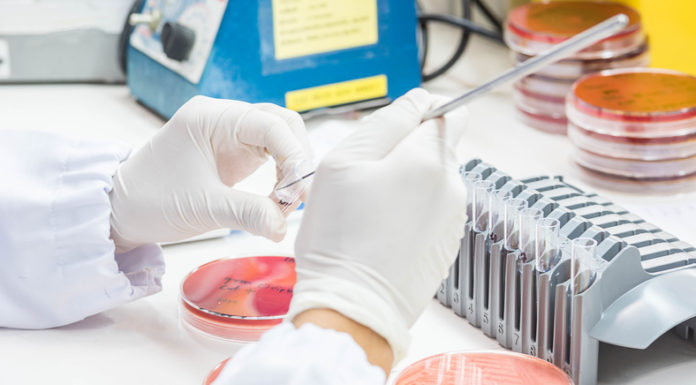 Potenciar la I+D en antibióticos, impulso para luchar contra las resistencias antimicrobianas