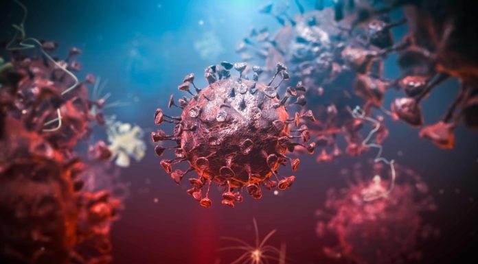 Entre el 20 y el 50% de personas tendría linfocitos T «anticoronavirus», según varios estudios