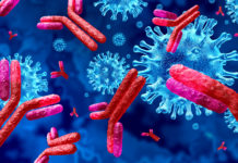 Roche y Regeneron colaboran para distribuir la combinación de anticuerpos para la COVID-19