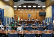 Andalucía propone «estandarizar» la telefarmacia e integrar a las boticas en la practica asistencial Comisión Andalucía