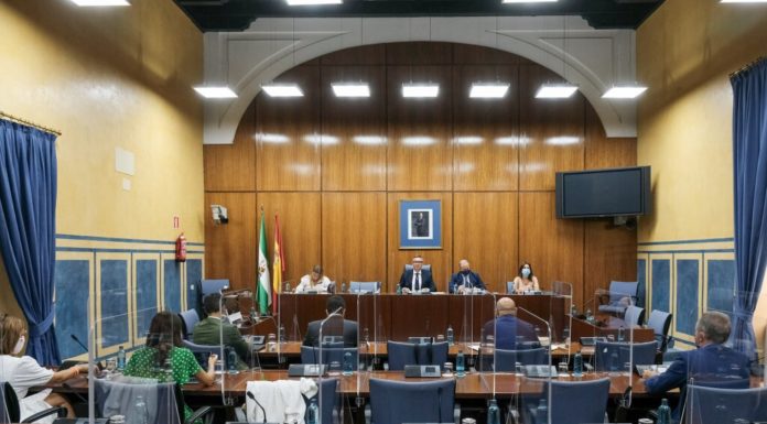Andalucía propone «estandarizar» la telefarmacia e integrar a las boticas en la practica asistencial Comisión Andalucía