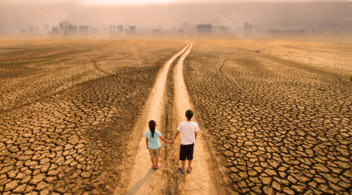 El cambio climático, caldo de cultivo perfecto para enfermedades