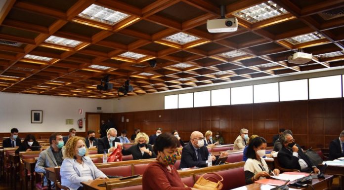 El Senado hace política de Estado en cáncer