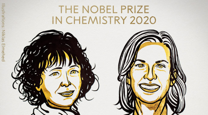 Premio Nobel de Química 2020 para las creadoras de la técnica CRISPR/Cas9