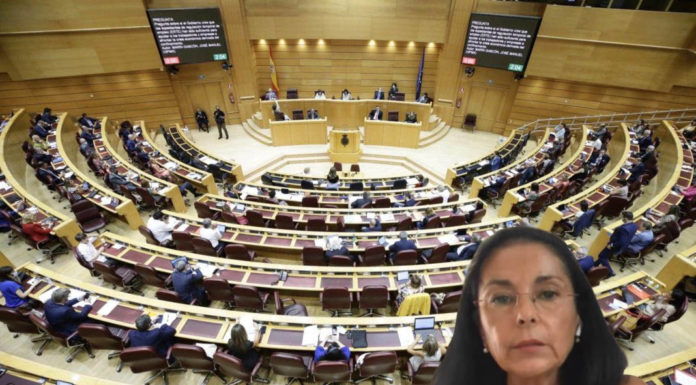 Carmona culmina su compromiso con los pacientes de cáncer