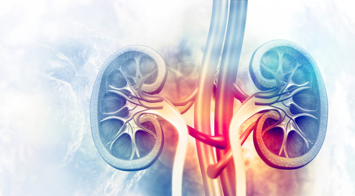 Finerenone reduce el riesgo cardiovascular en pacientes con ERC y diabetes tipo 2