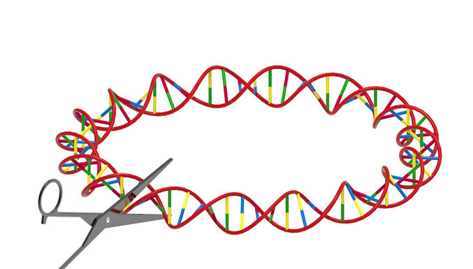 CRISPR-CAS14: nuevas dianas para el desarrollo de fármacos