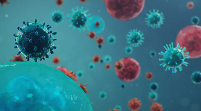 El CSIC participa en el desarrollo de un clon infectivo del SARS-CoV-2 para estudiar y conocer el virus