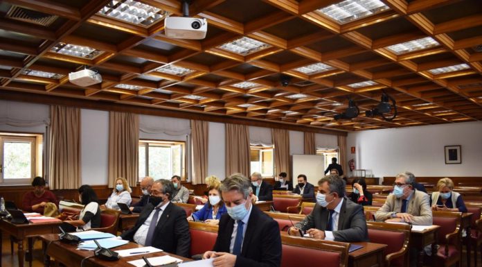 La Comisión de Sanidad del Senado avala la supresión del visado a los ACOD