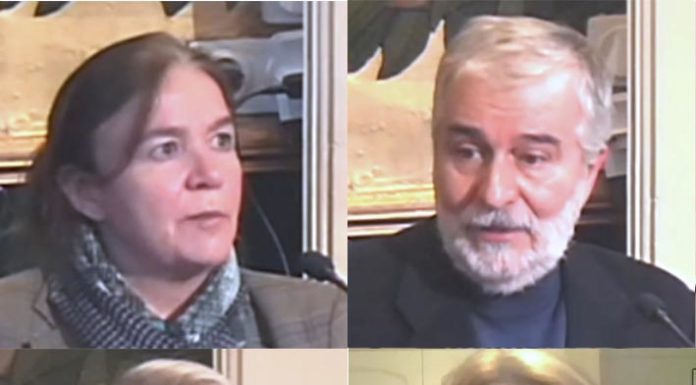 Gripe y Covid-19: ¿Qué hay de nuevo?