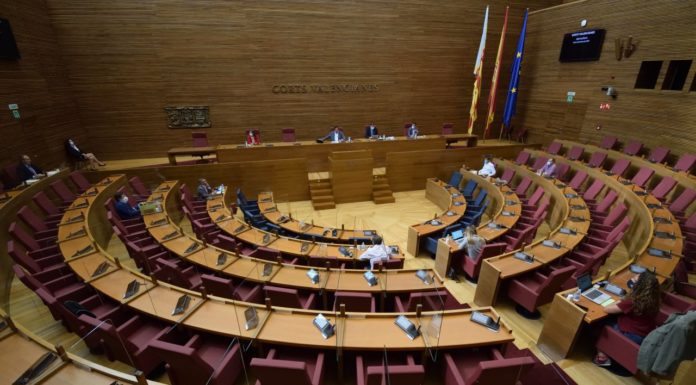 Las Cortes Valencianas aprueban por unanimidad la creación de un programa de investigación post-COVID