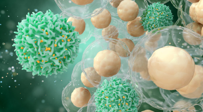 Conocer la biología de los tumores, clave para avanzar en el abordaje oncológico