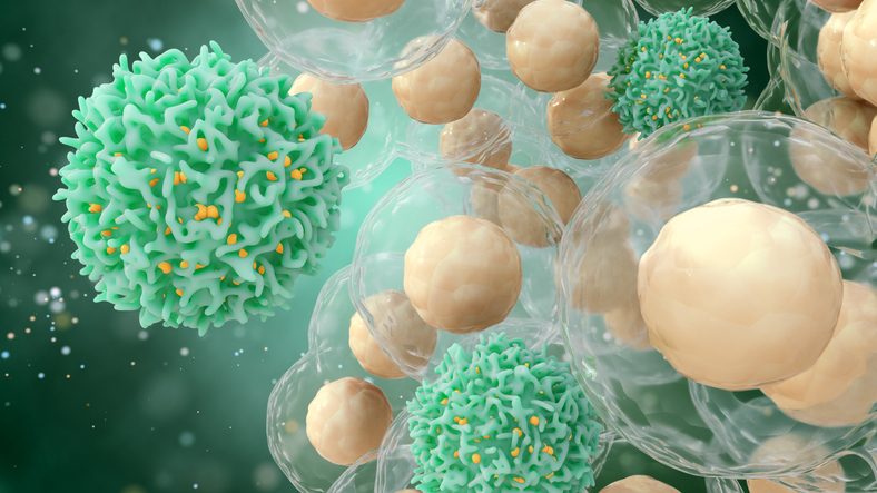 Medical concept of cancer. 3d illustration of T cells or cancer cells.