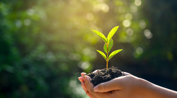 GSK marca nuevos objetivos de impacto cero en el clima