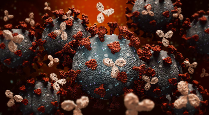 COVID-19: la FDA emite una autorización de emergencia para el uso conjunto de casirivimab e imdevimab