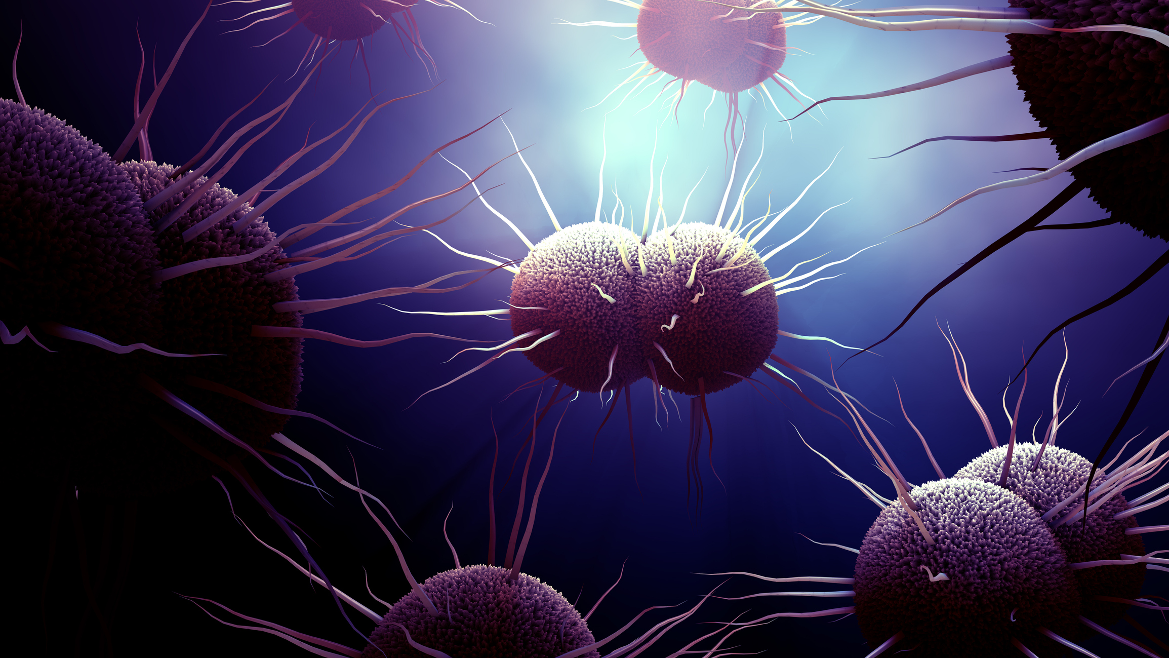 bacterium Neisseria gonorrhoeae, Gonorrhea