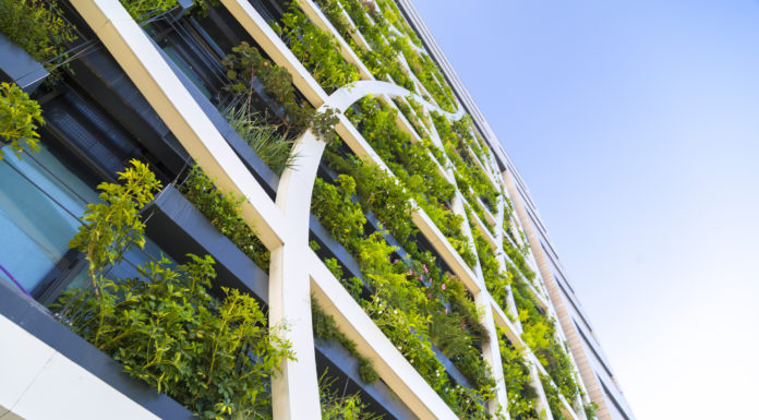 Roche fomenta la lucha contra el cambio climático y la protección ambiental entre sus empleados