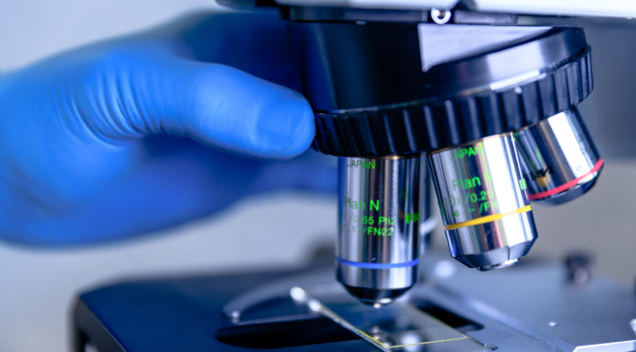 Sanidad establece una Red de laboratorios para detectar nuevas variantes del SARS-CoV-2