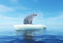 Los debates «GreenTalks» unen cambio climático y salud