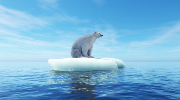 Los debates «GreenTalks» unen cambio climático y salud