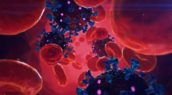 Europa financiará proyectos de recolección de plasma convaleciente, un tratamiento «prometedor» contra la COVID-19