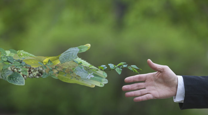 La Comisión Europea lanza un proyecto para acercar el Pacto Verde Europeo a los ciudadanos