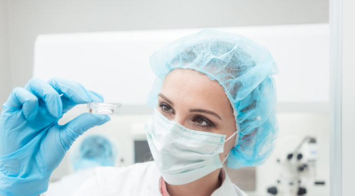 PharmaMar confirma la «potente eficacia» preclínica de Plitidepsina