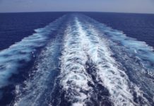 Vacunas: ¿velocidad de crucero?