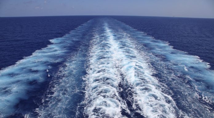 Vacunas: ¿velocidad de crucero?