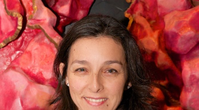 Un año con gran influencia en el desempeño de nuestra profesión Flavia Erazo