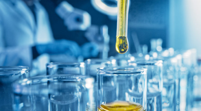 Investigación en cáncer: llave para ofrecer nuevas alternativas terapéuticas a pacientes oncológicos